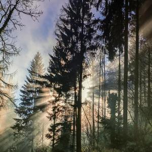 穿过缝隙的阳光