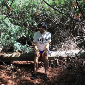 Antiguos dueños de las flechas