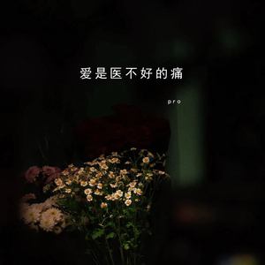 爱是医不好的痛