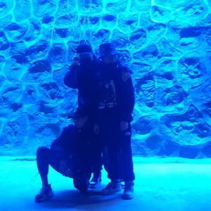 号角（prod by 房间里的大象）