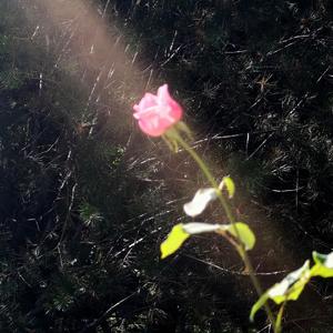 刻在我心里的名字（吉他曲）