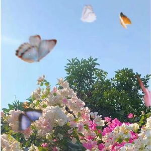 I don't wanna see u anymore(FEAT.乃万）