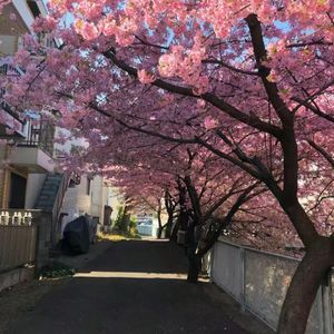 在爱情来临时(prod.by Morrow x riki)