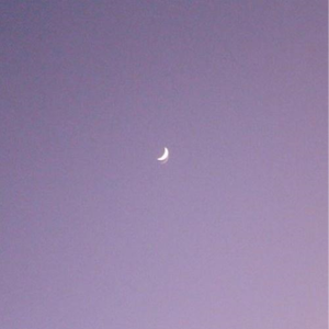 moonlight (MFn bootleg)
