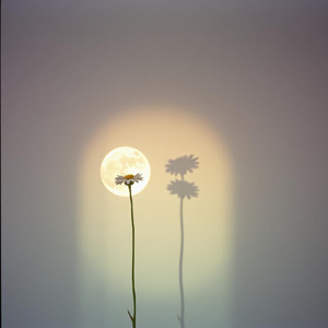 눈물로 쓴 편지 (feat. sohyun)