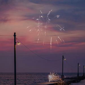 达尔文（翻自 蔡健雅）