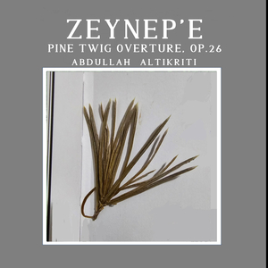 "Zeynep'e" Pine Twig Overture, Op.25