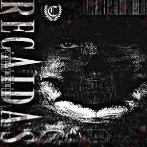RECAIDAS