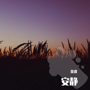 安静的晚风