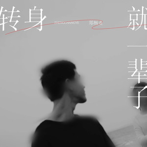 一转身就一辈子