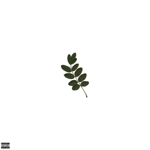 Huncho (Feat. Zay Bricks)