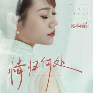 情归何处 (DJ九零版)