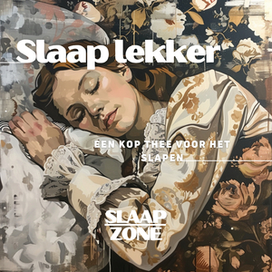 Het slaapliedje van de nacht
