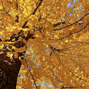 你曾是我的光芒