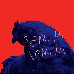 Grad Se Beli Preko Balatina