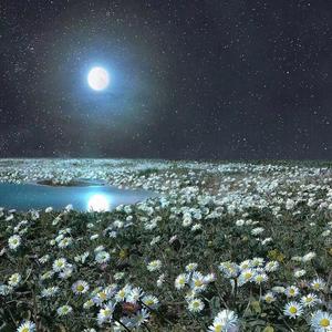 太陽 月亮 期待 回憶 你