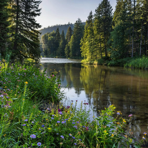 Молитва 18 святой царице грузинской Тамаре