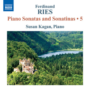 Piano Sonata in B Minor, WoO 11:I. Largo molto et appassionato