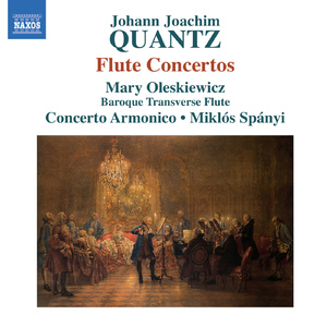 Flute Concerto in A Minor, QV 5:238:I. Allegretto