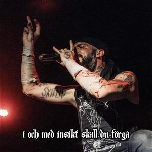 I OCH MED INSIKT SKALL DU FORGA