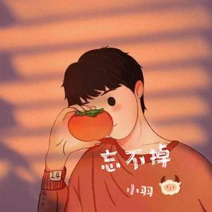 忘不掉（吉他版） 伴奏