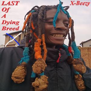 Two Different Shoes Weezy, You Don't Understand X-Beezy