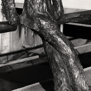 Mene tražiš (Remaster)