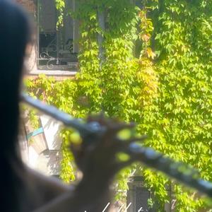 洛克王国-彼得大道（人鱼湾无海浪声）【长笛版】