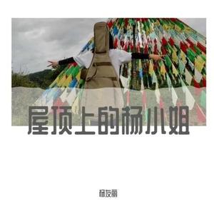 房顶上的杨小姐