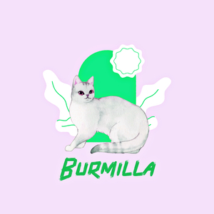 Burmilla
