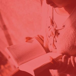 柔和的学习时刻