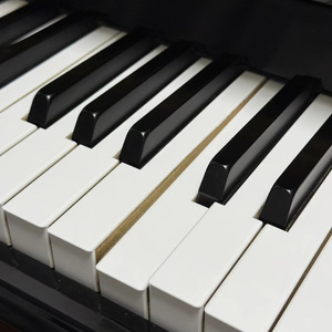 特别的人（live）