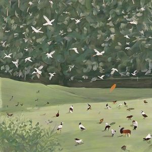 候鸟的最后一页