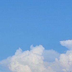 直上九霄SOAR TO THE SKY