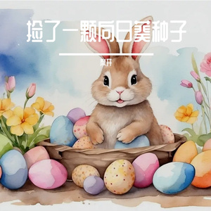 向日葵与太阳