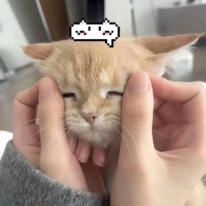 你不懂