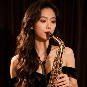 在你眼中（shuttle萨克斯）