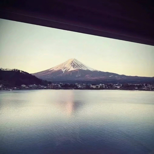 盛夏侧脸
