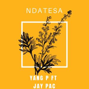 Ndatesa (feat. Jay Pac)