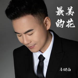 最美的花 (伴奏)