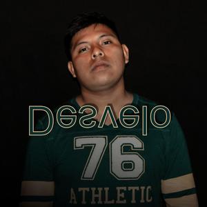 Desvelo