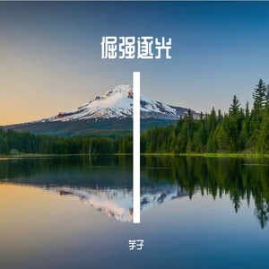 倔强逐光