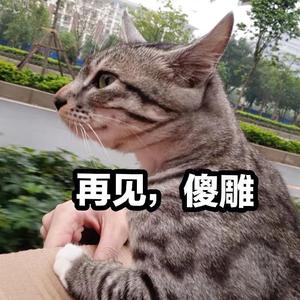 老友纪2020 伴奏