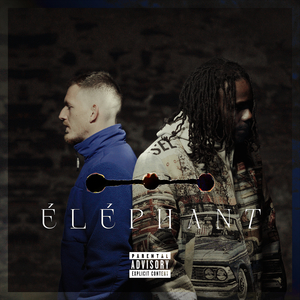 Éléphant