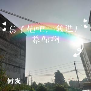 何友-忘了他吧，我进厂养你啊（DJ何友版）（何友 remix）