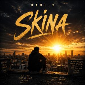 Skina