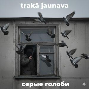 Серые Голуби