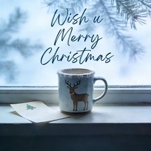Wish u Merry Christmas