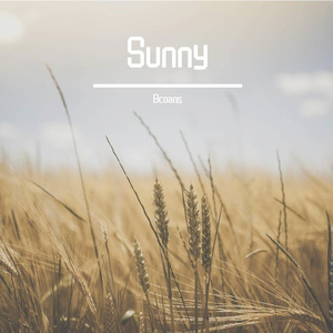 Sunny