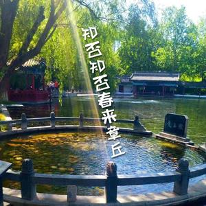 知否知否春来章丘